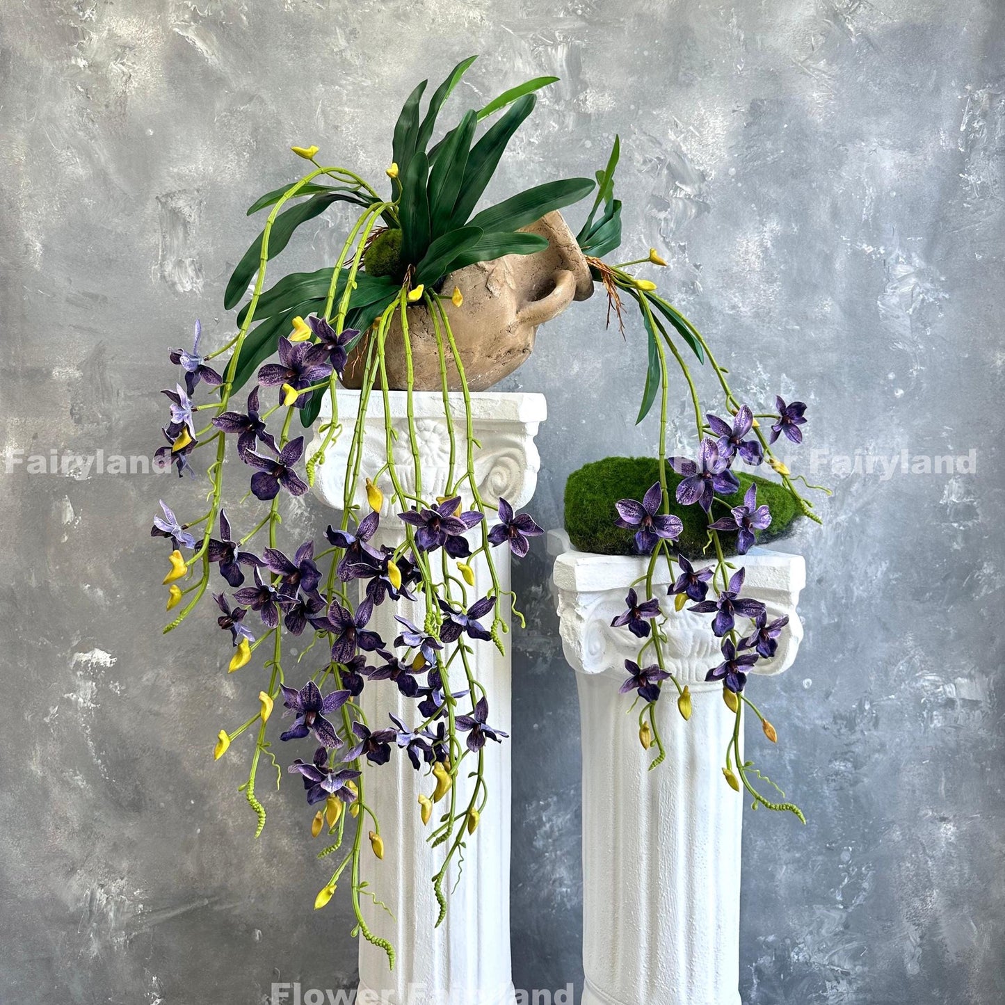 Dark purple hanging orchid styled on wall