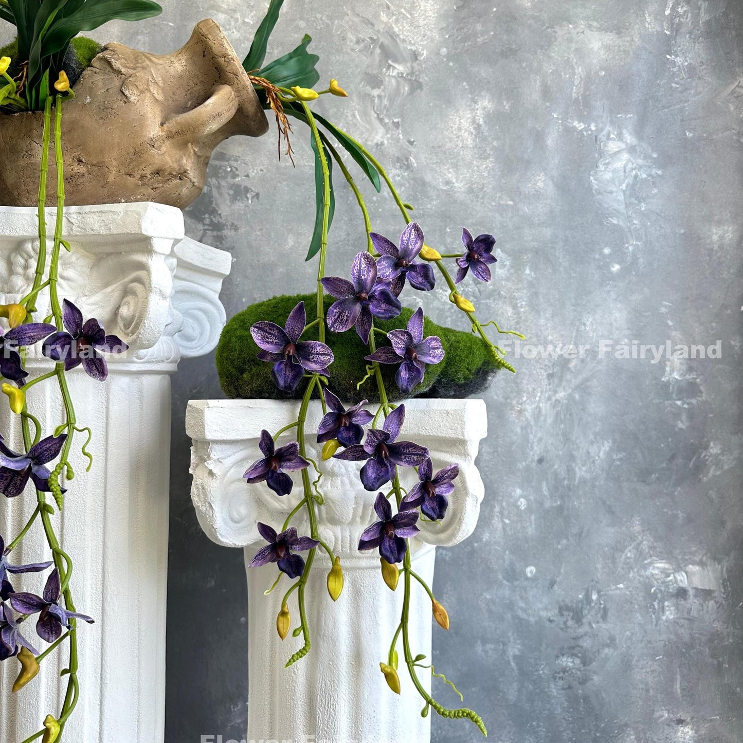 Dark purple hanging orchid bloom detail