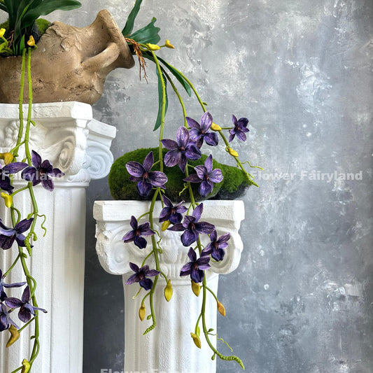 Dark purple hanging orchid bloom detail