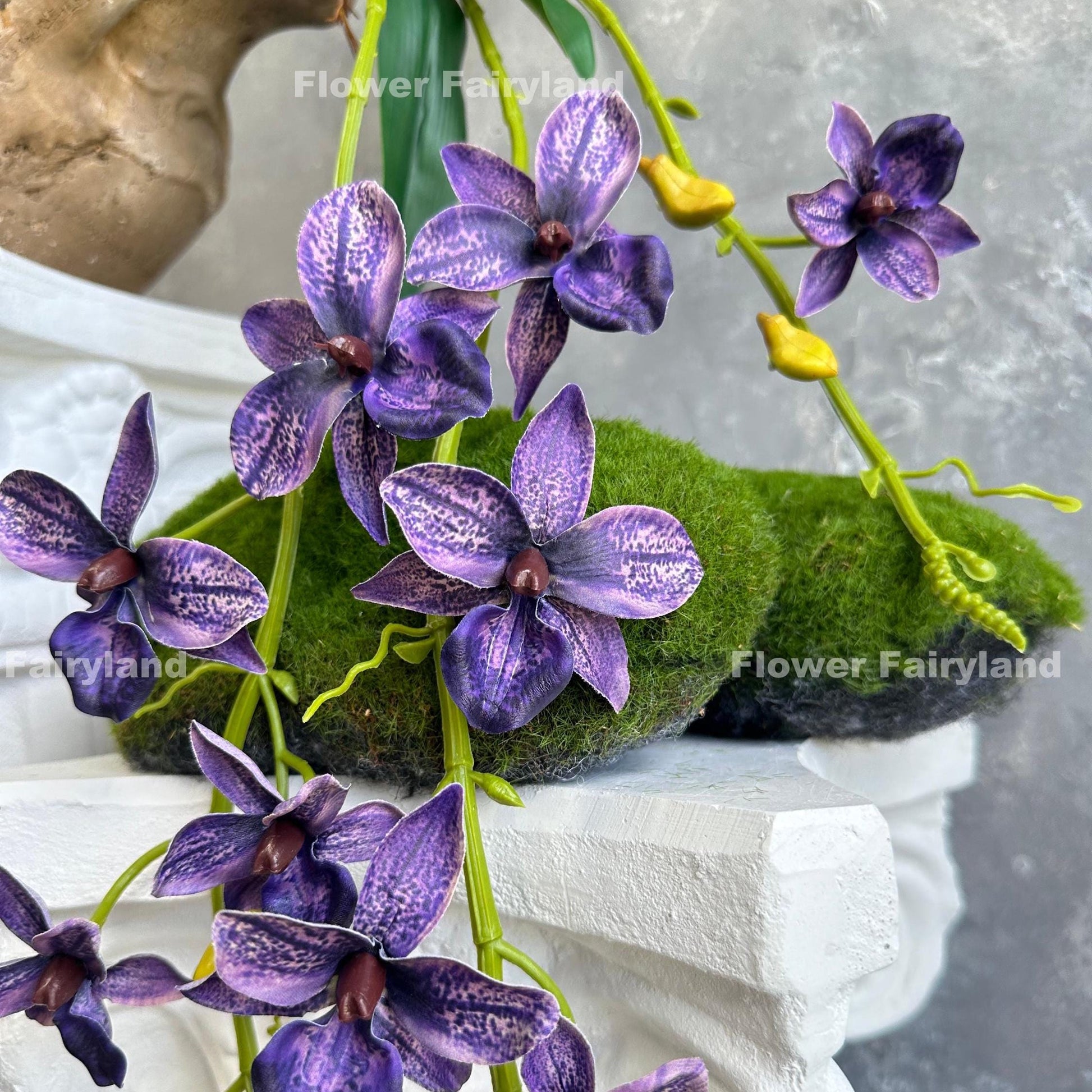 Dark purple faux hanging Rodriguezia orchid with leaves and roots
