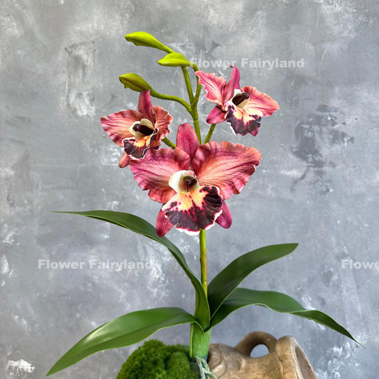 Faux cattleya orchid in light coral burgundy with leaves and roots