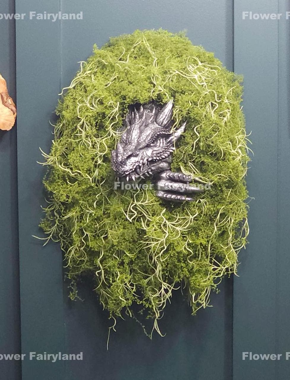 Green Spanish moss hanging length view