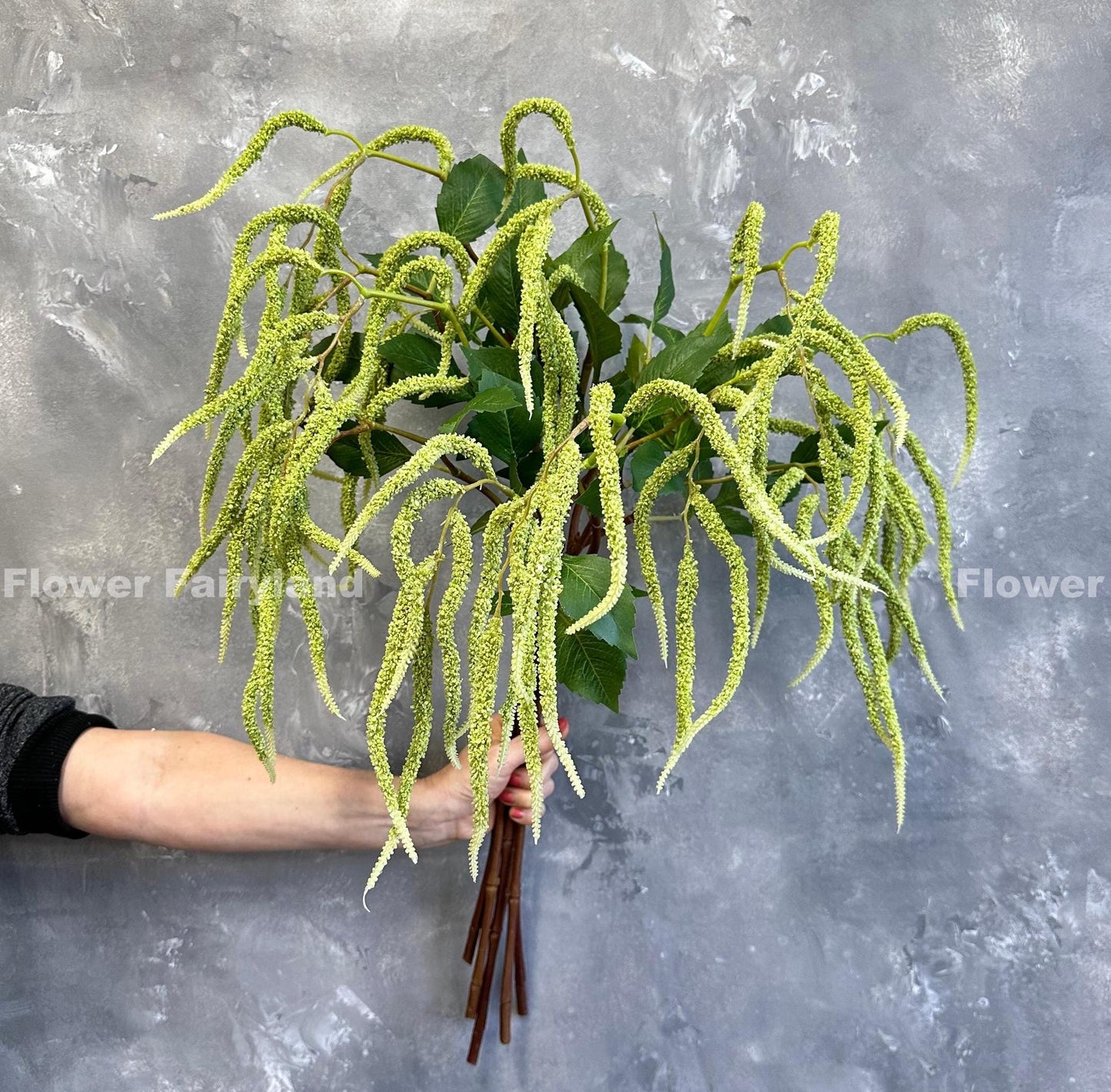 Amaranth green tails detail