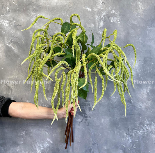 Amaranth green tails detail