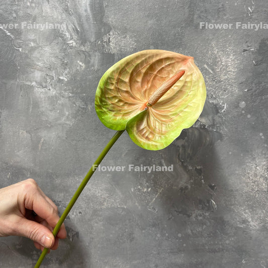 Real touch anthurium stem in greenish peach - single stem