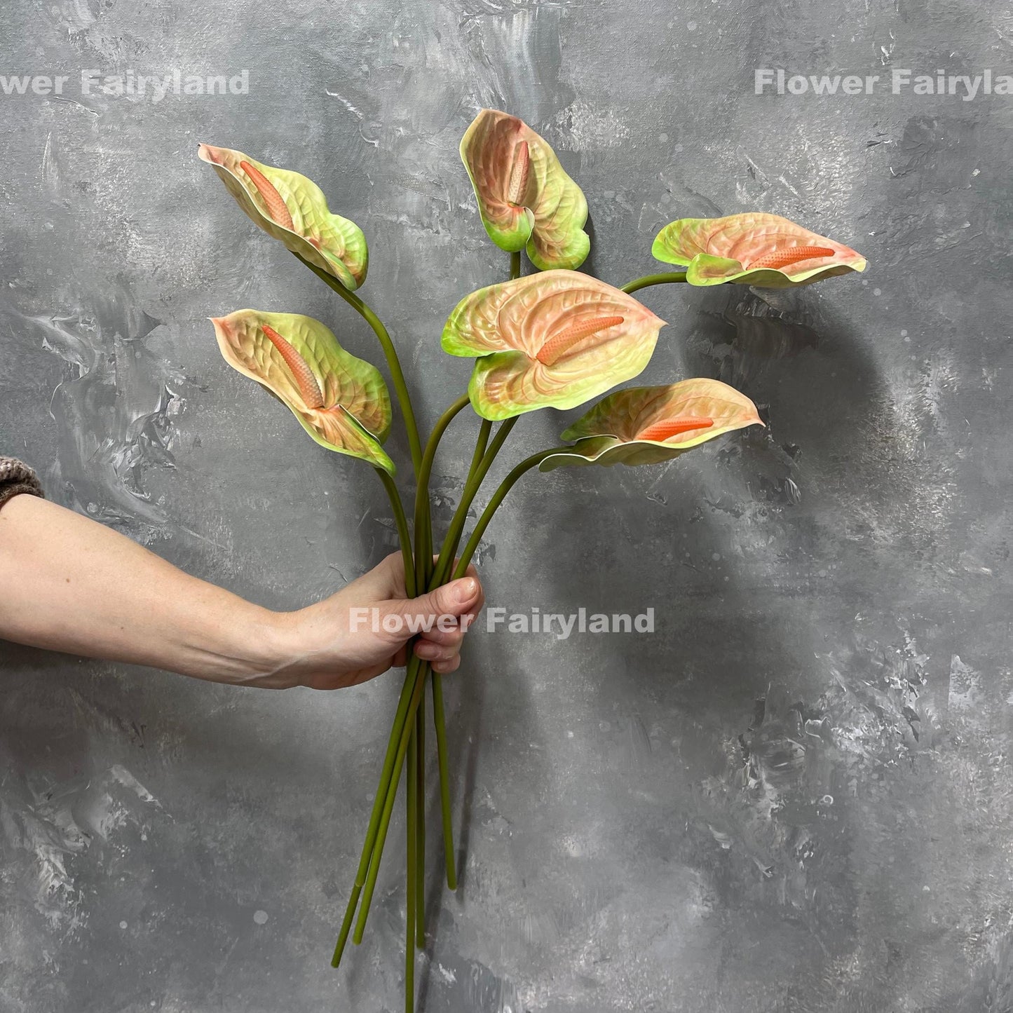 Real touch anthurium in greenish peach held in hand