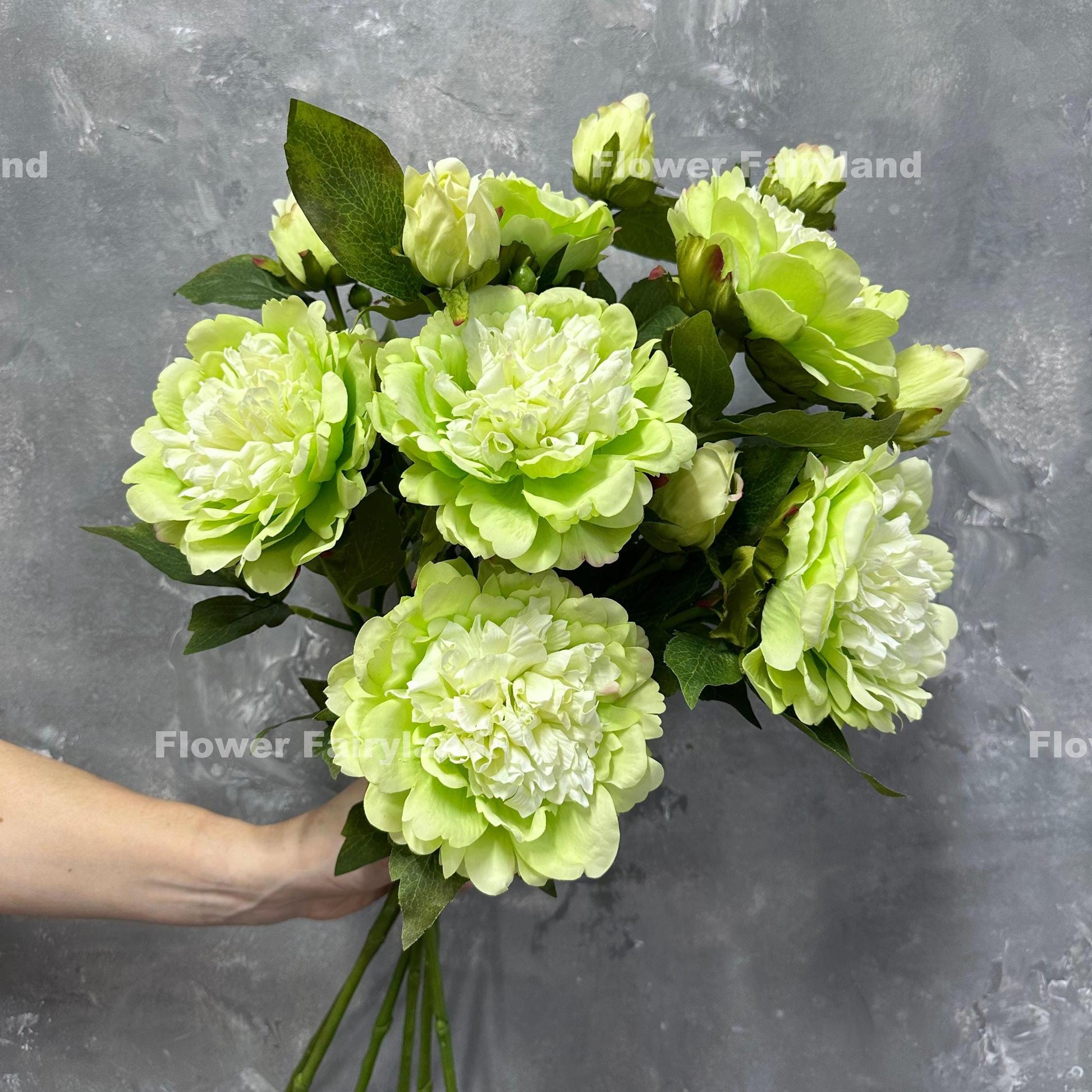 Lime green real touch peony stems held in hand