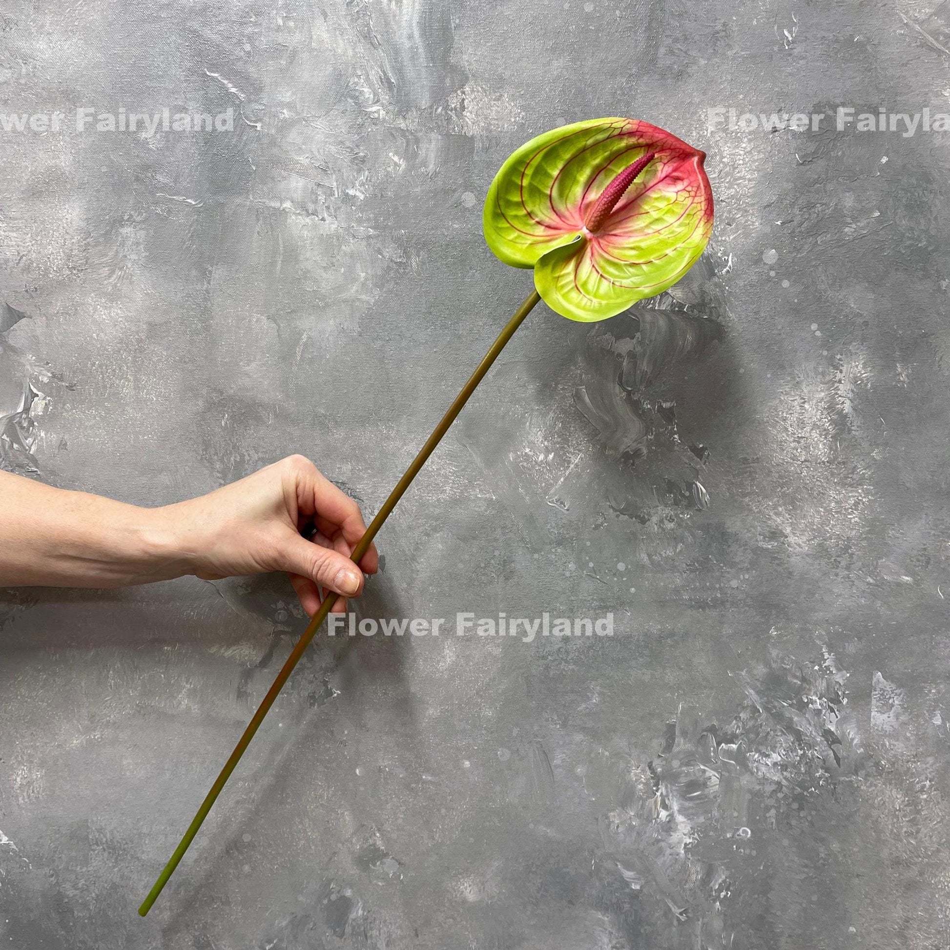 Pinkish green real touch anthurium head detail