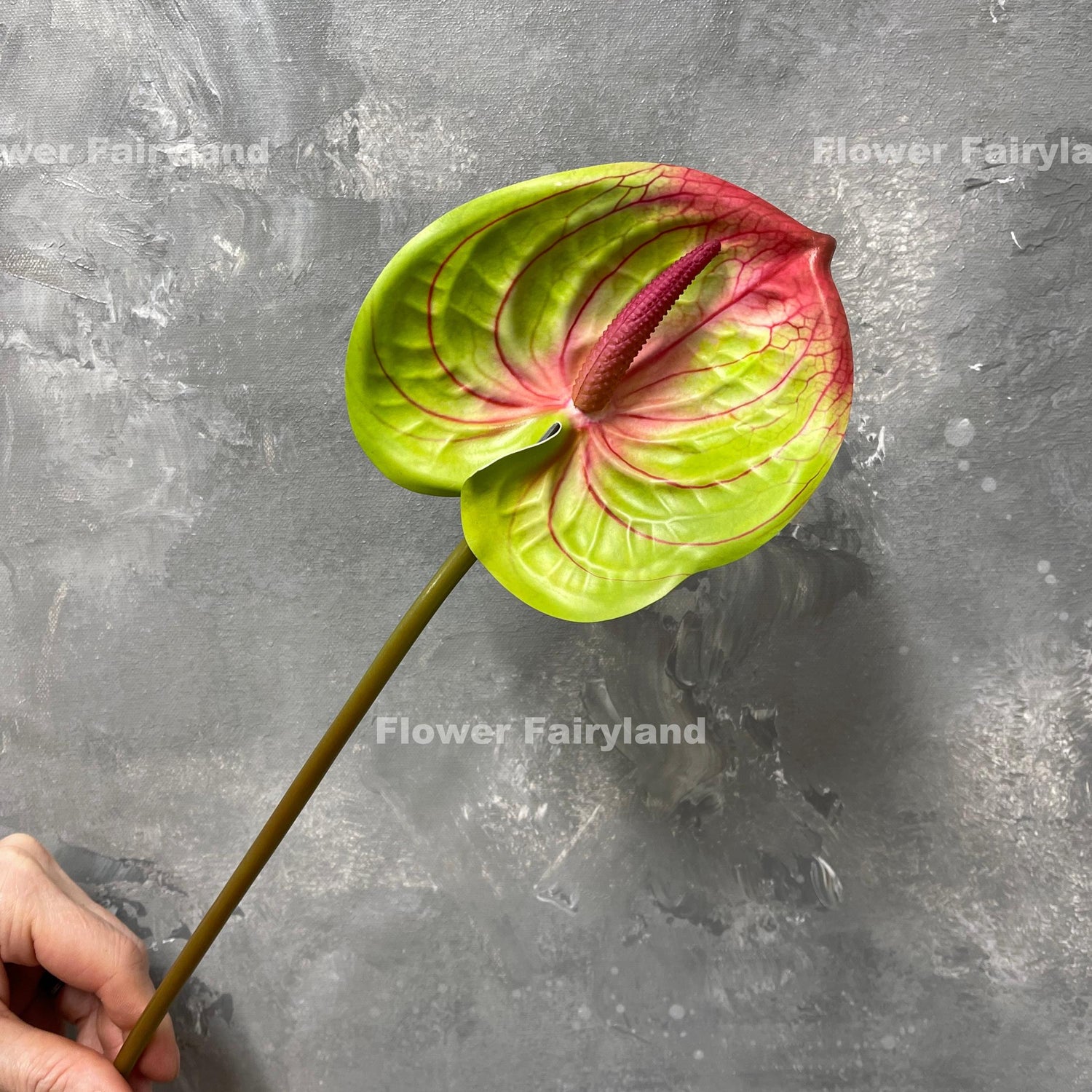 Real touch anthurium stem in pinkish green - single stem