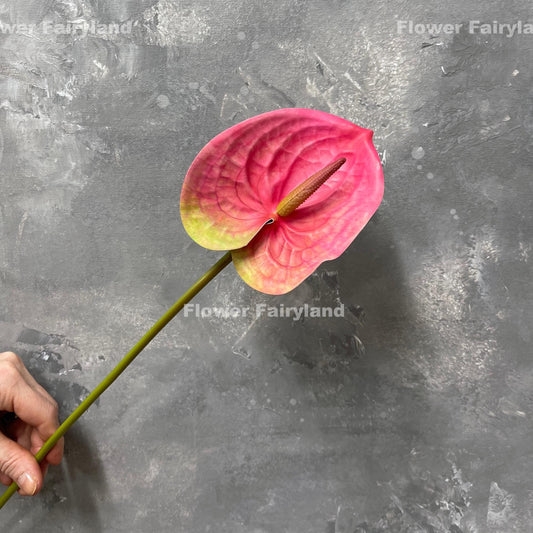 Real touch anthurium stem in pink - single stem