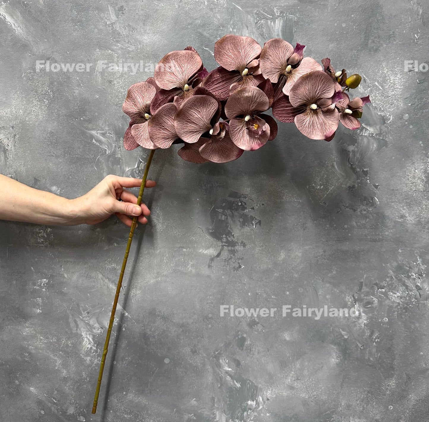 37 inch faux orchid stem with ten huge brownish purple blooms held in hand