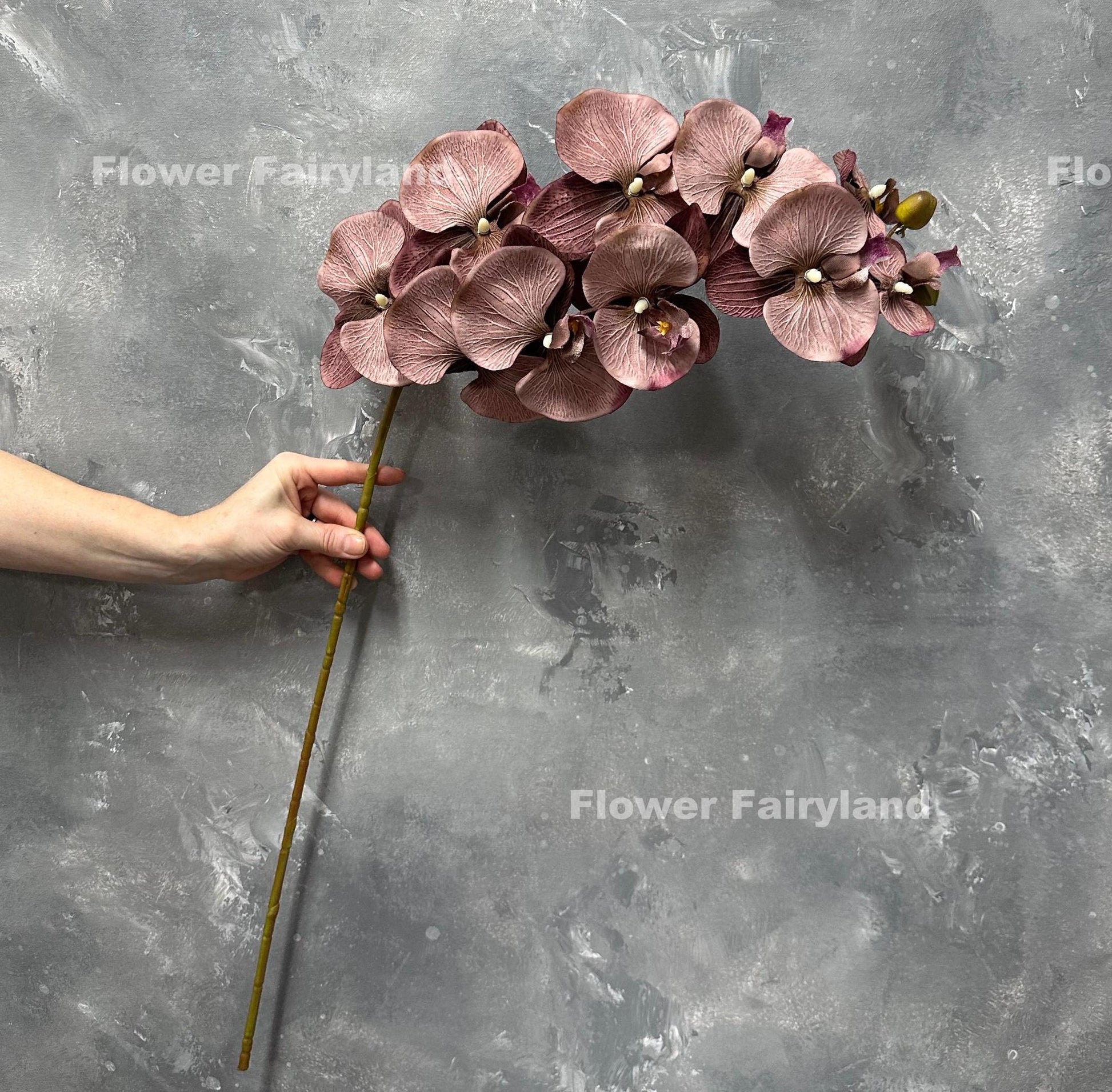 37 inch faux orchid stem with ten huge brownish purple blooms held in hand
