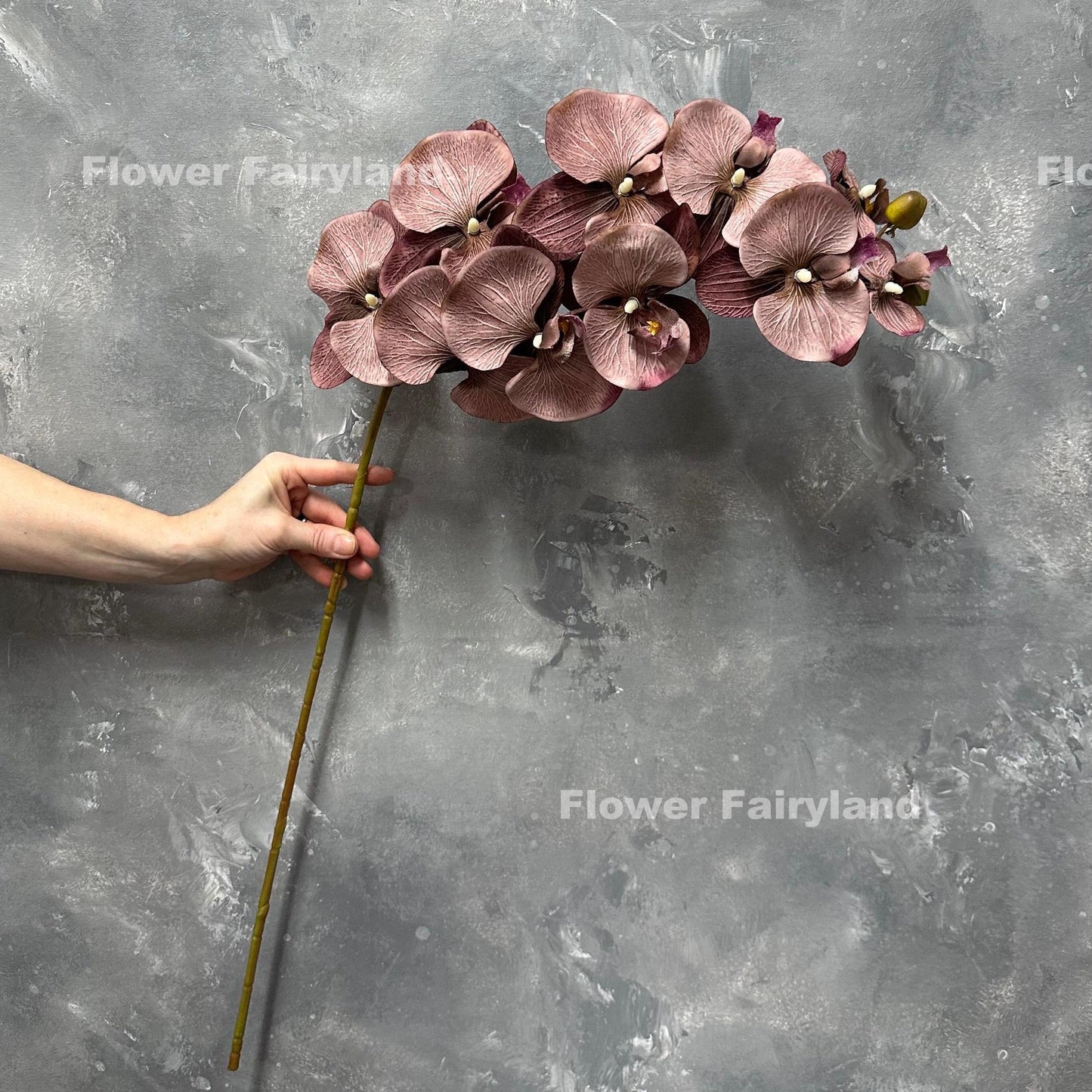 37 inch faux orchid stem with ten huge brownish purple blooms held in hand