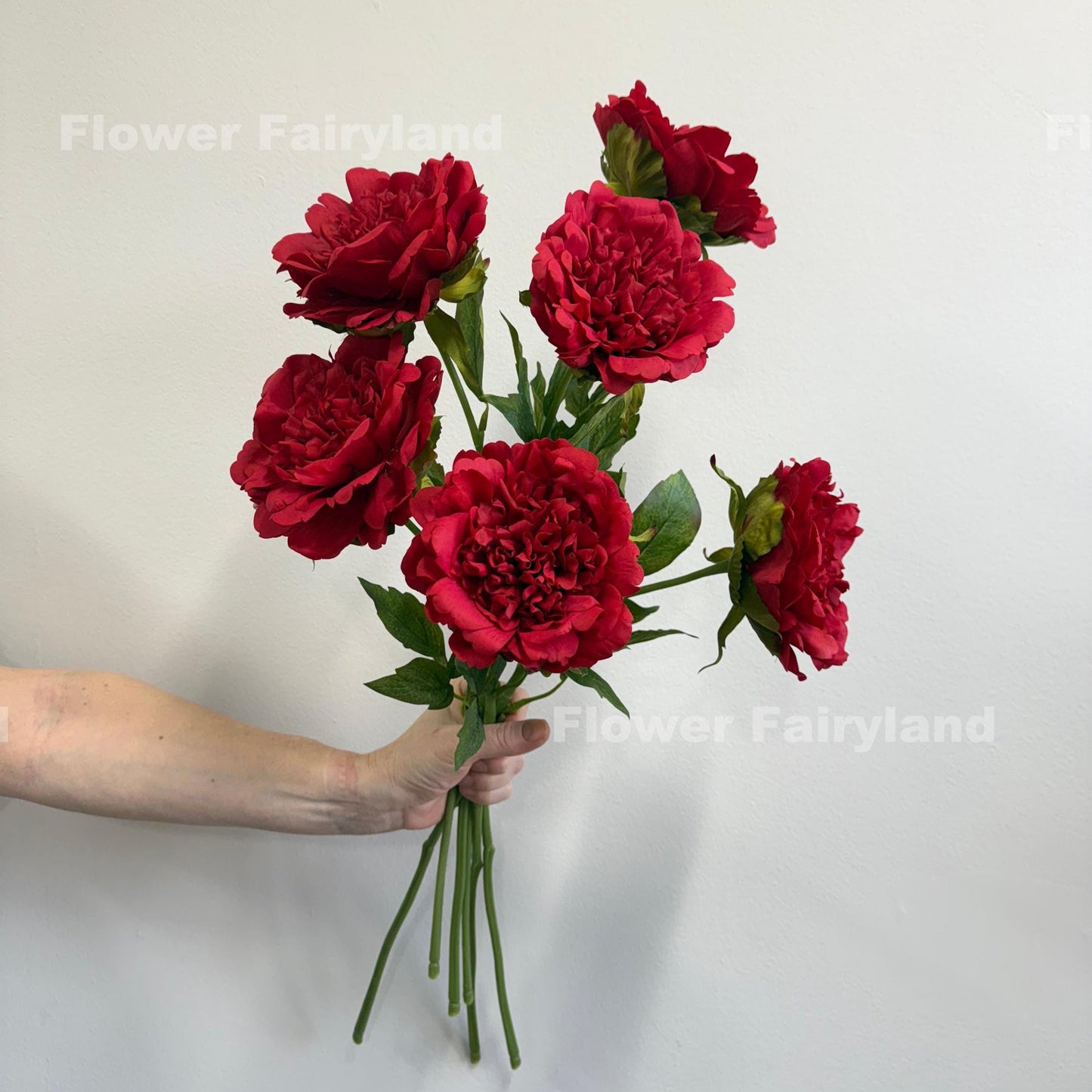 Red real touch peony stems held in hand