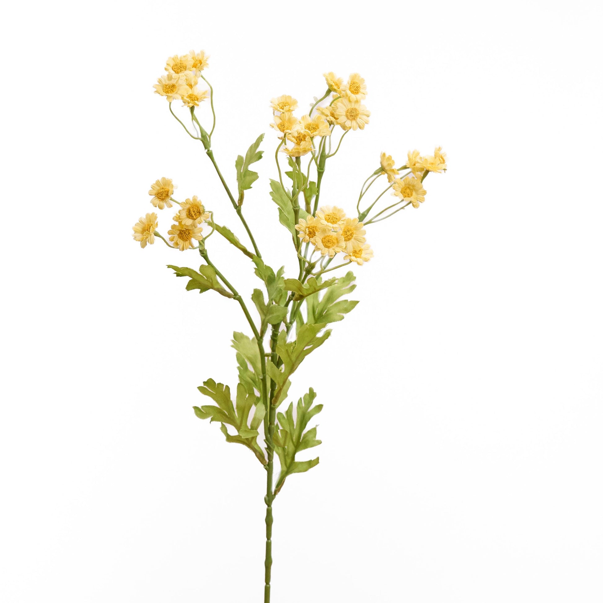Faux chamomile long stem in yellow - single stem