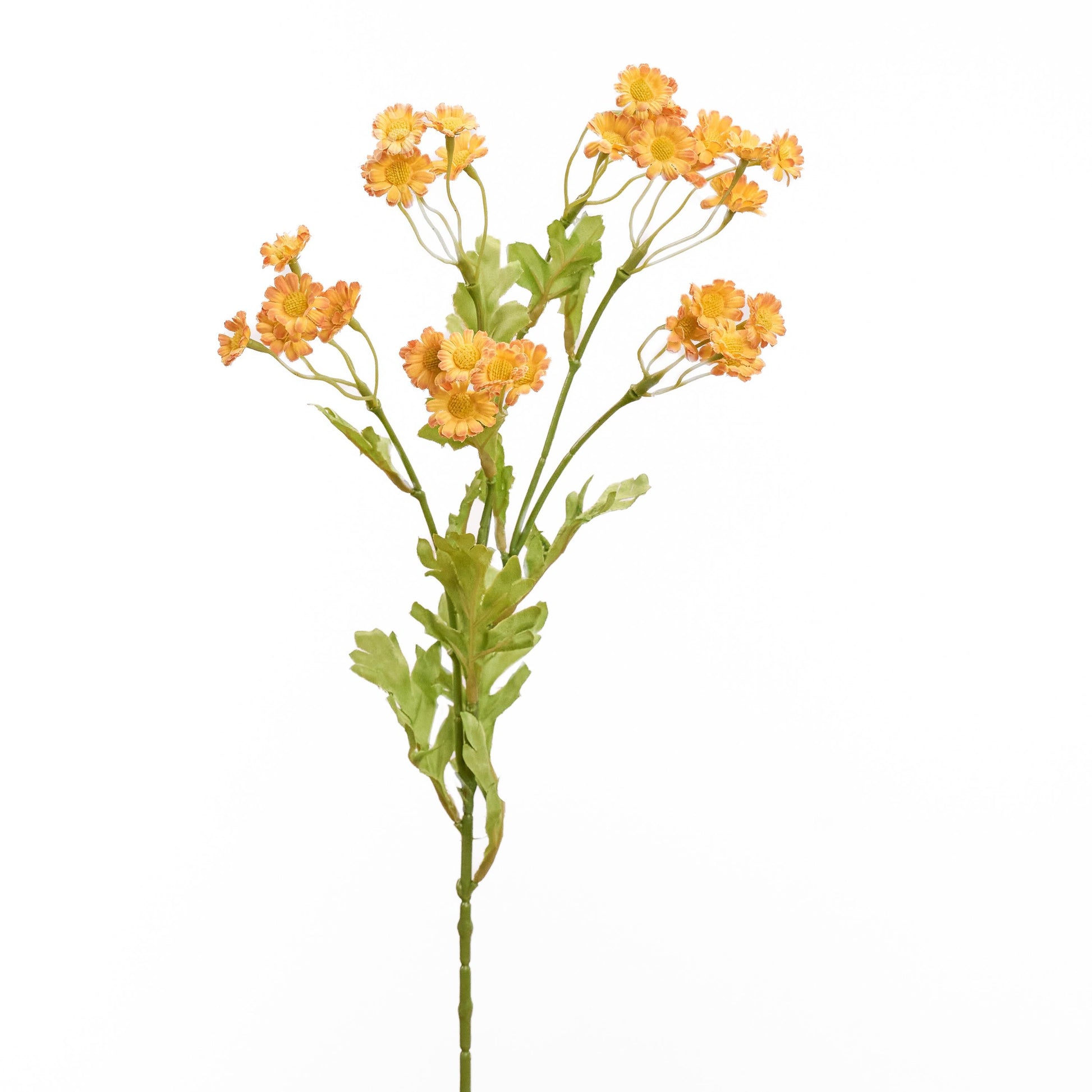 Faux chamomile long stem in orange - single stem