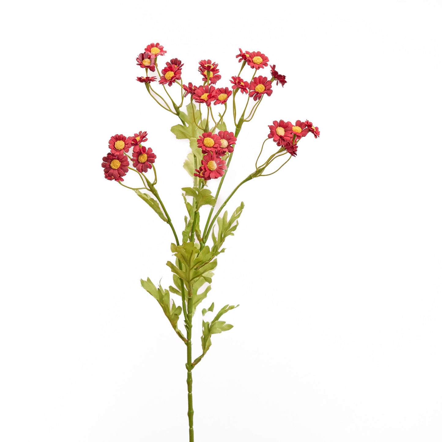 Faux chamomile long stem in red - single stem