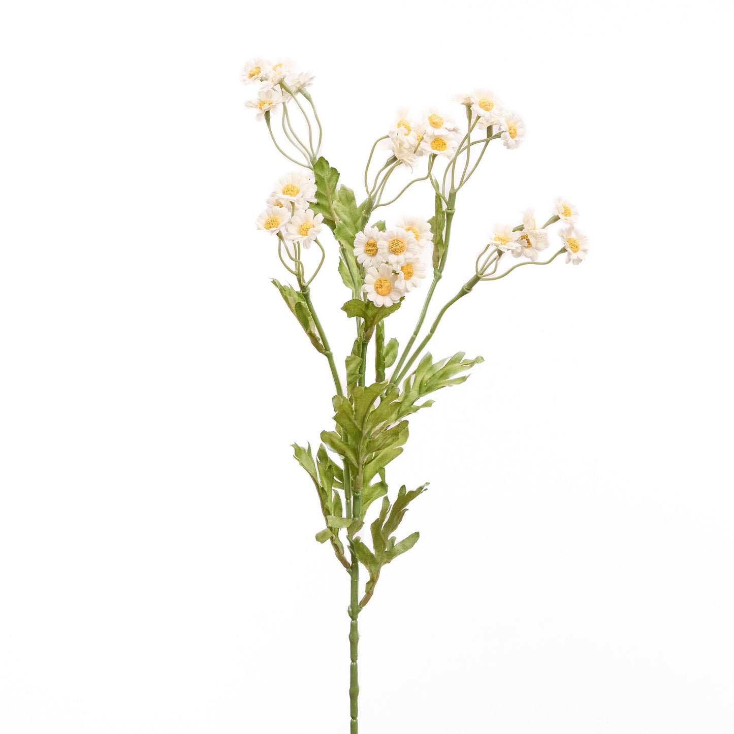Faux chamomile long stem in bright white - single stem