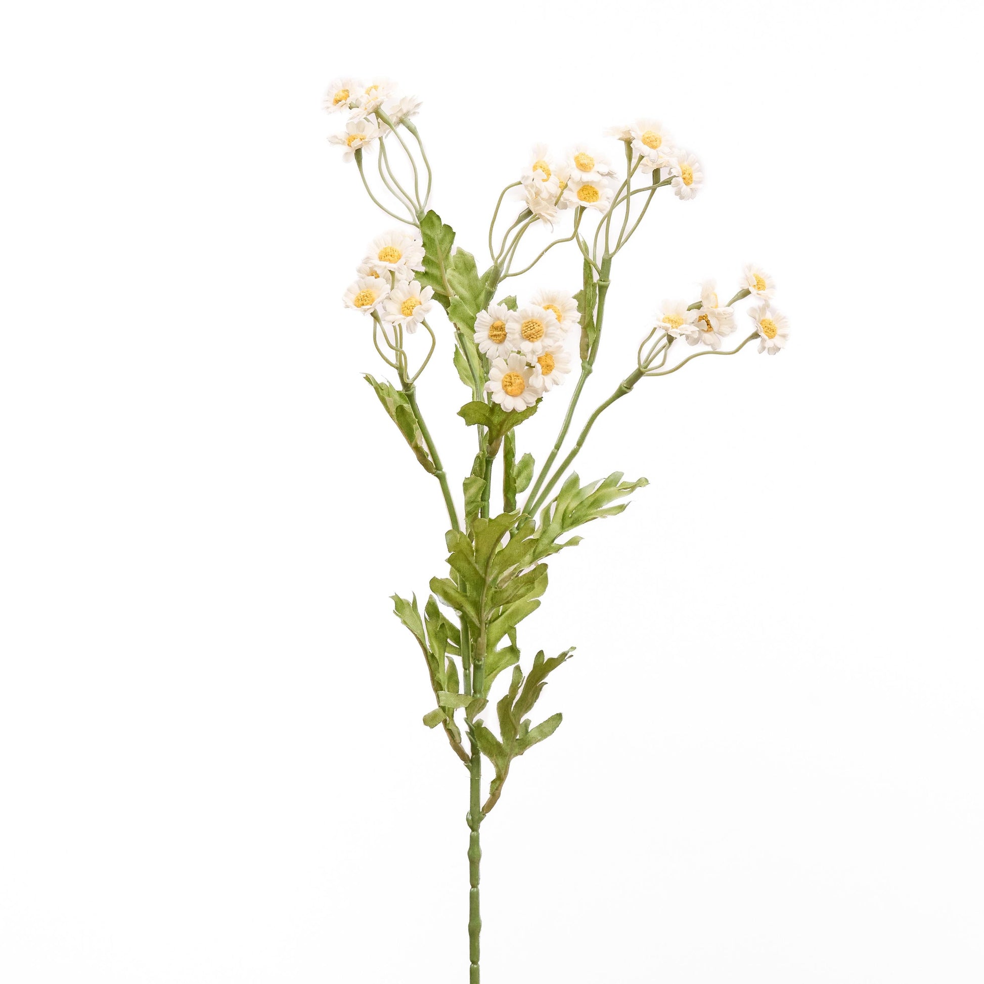 Faux chamomile long stem in bright white - single stem