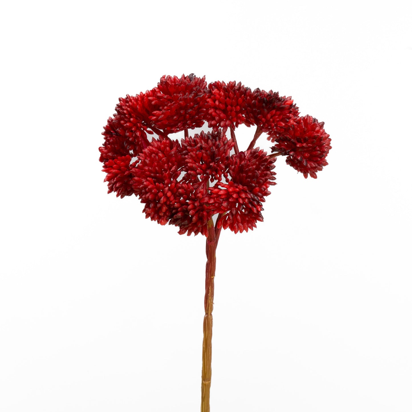 Real touch sedum cluster stem in red - single stem