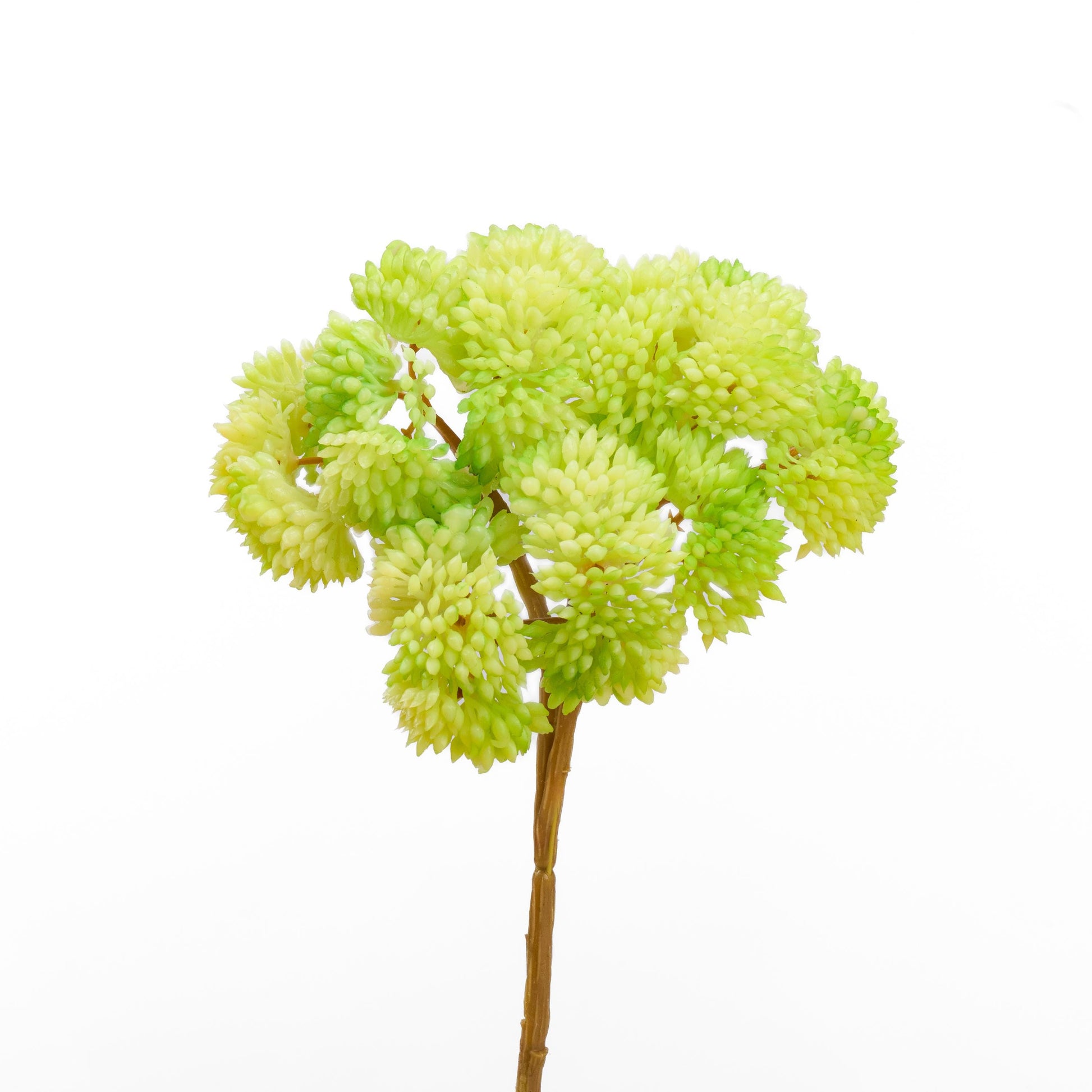 Real touch sedum cluster stem in light green - single stem