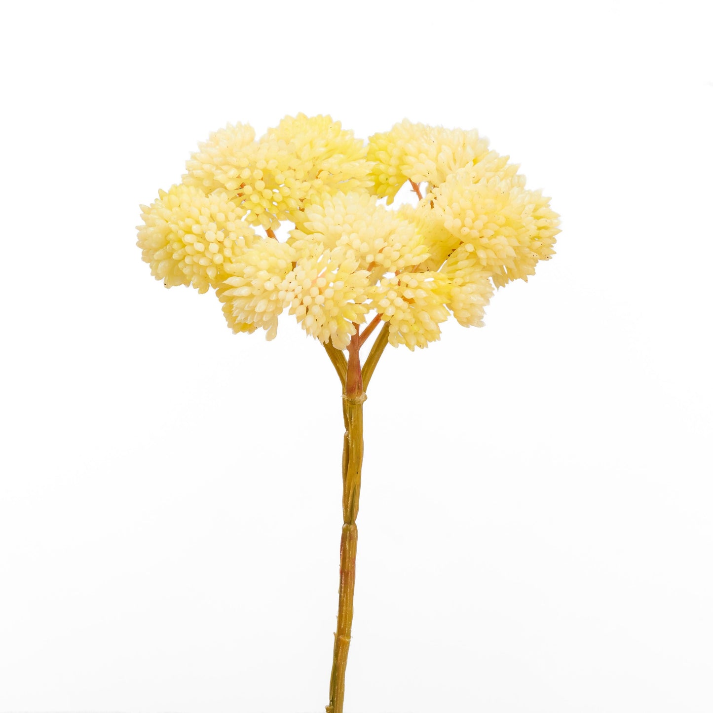Real touch sedum cluster stem in yellowish cream - single stem