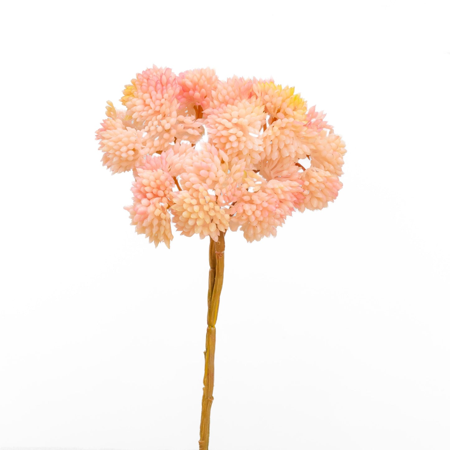 Real touch sedum cluster stem in light pink - single stem