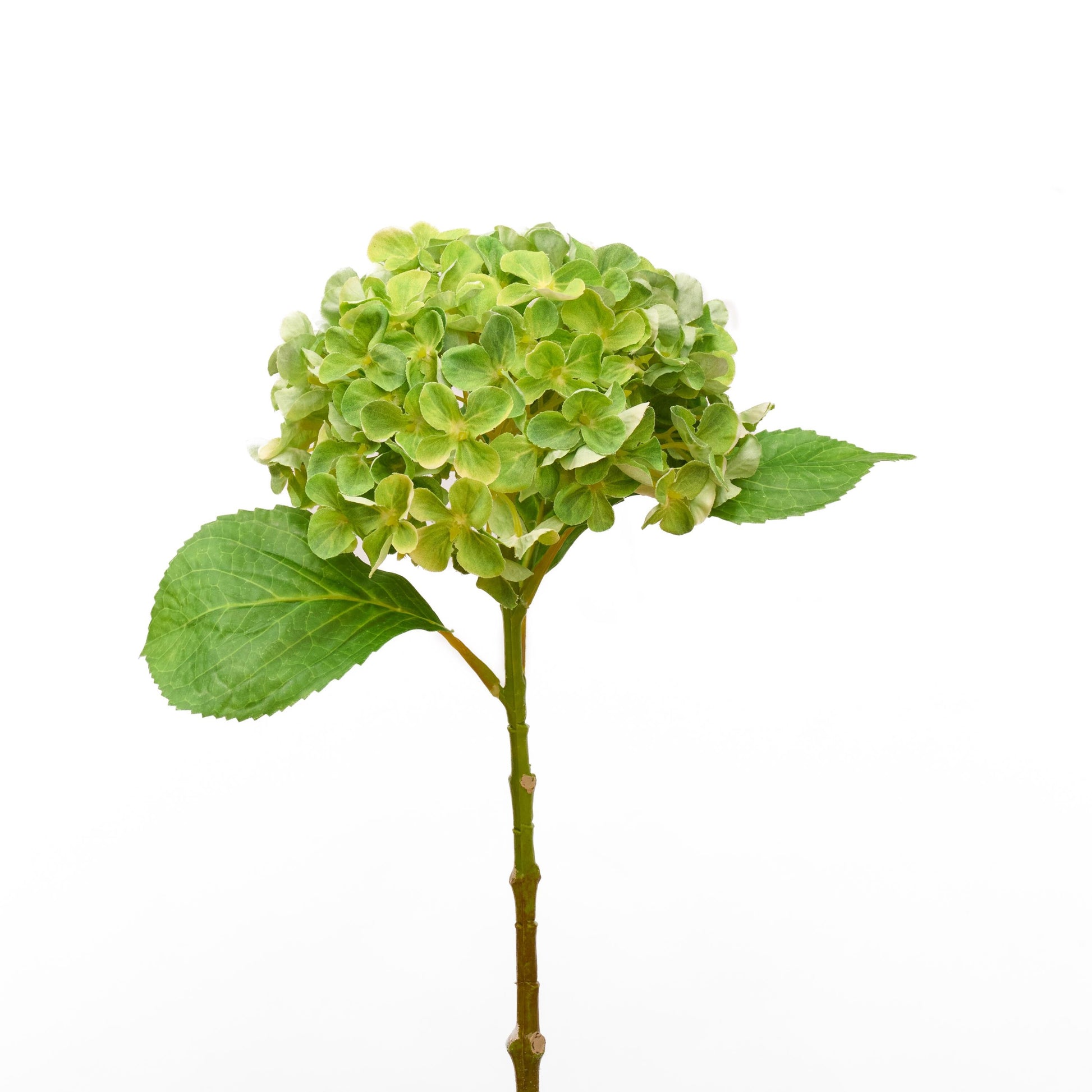 Faux hydrangea stem in green - single stem