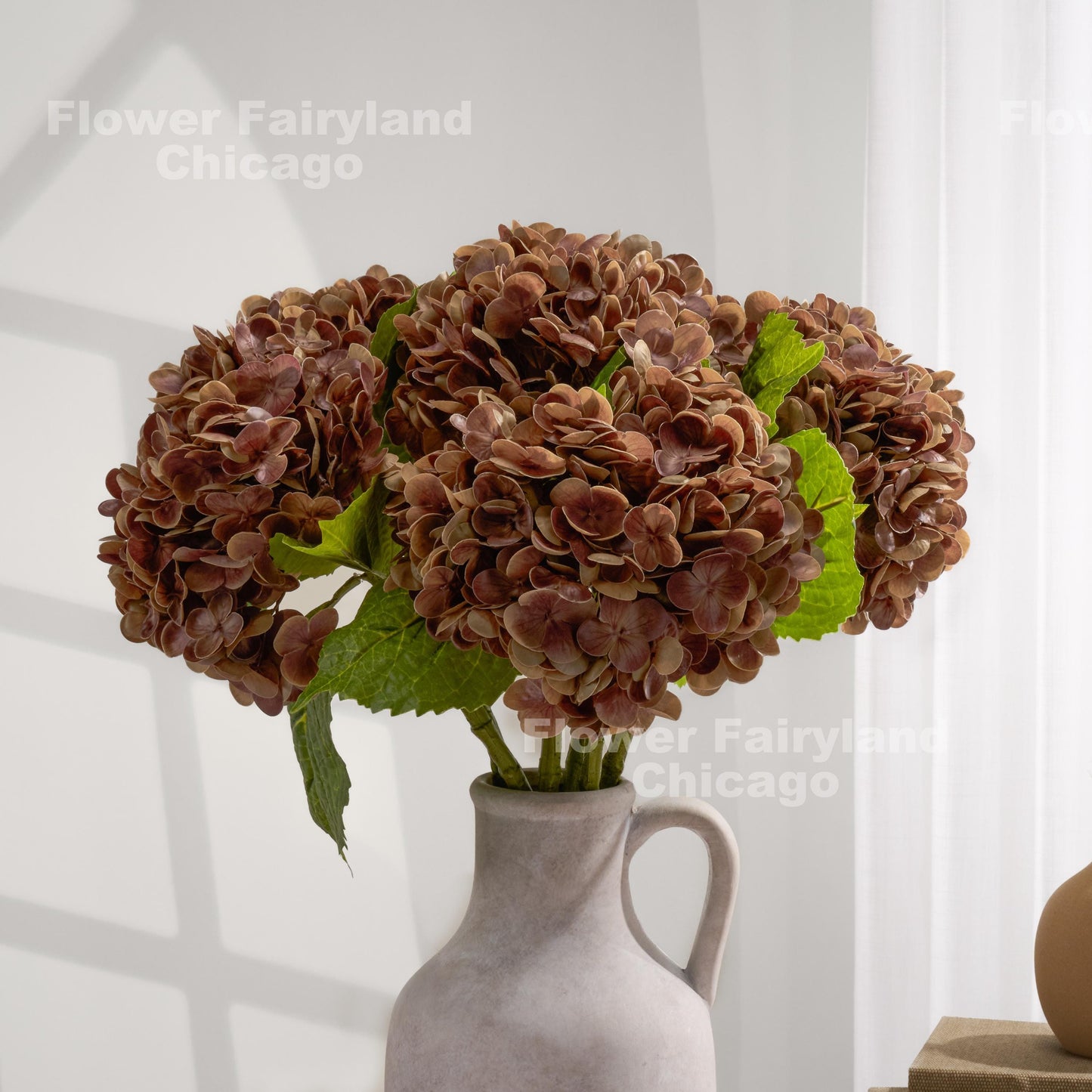Brown hydrangea bloom detail