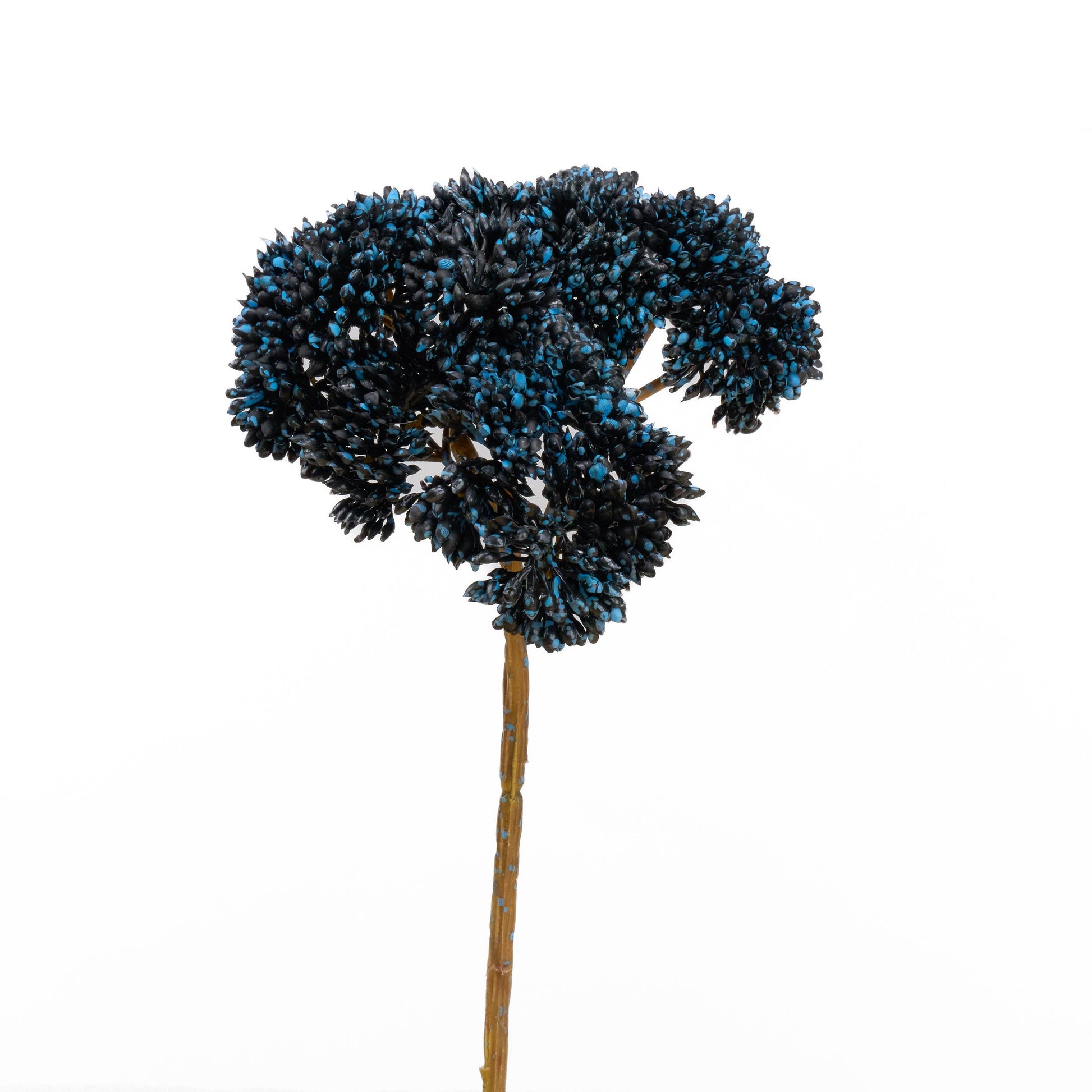 Real touch sedum cluster stem in blackish blue - single stem