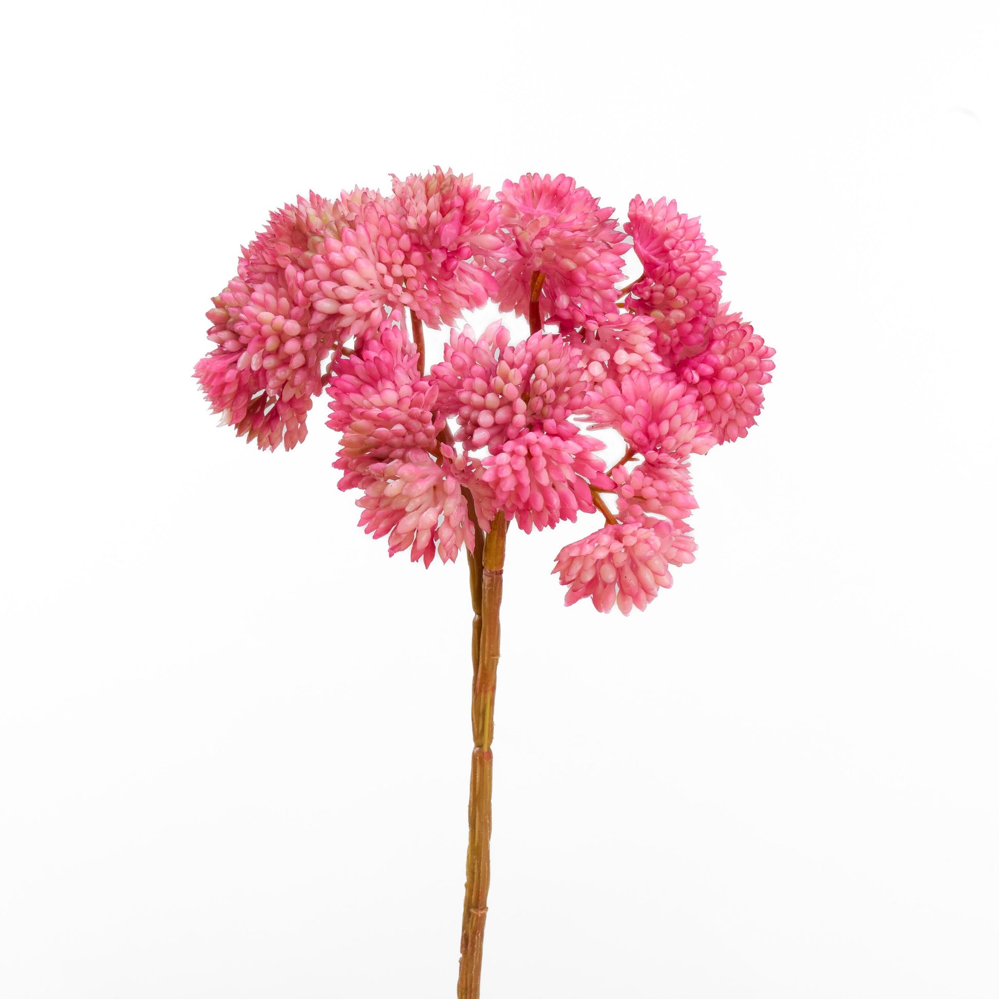 Real touch sedum cluster stem in pinkish mauve - single stem