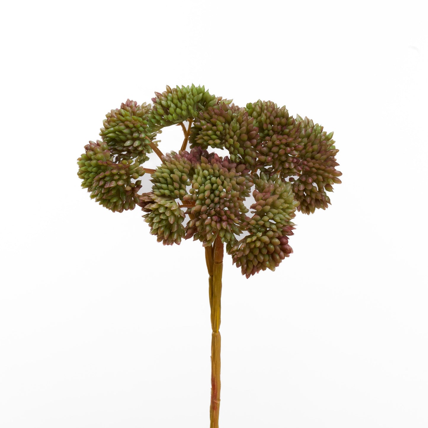 Real touch sedum cluster stem in mauve and sage green - single stem