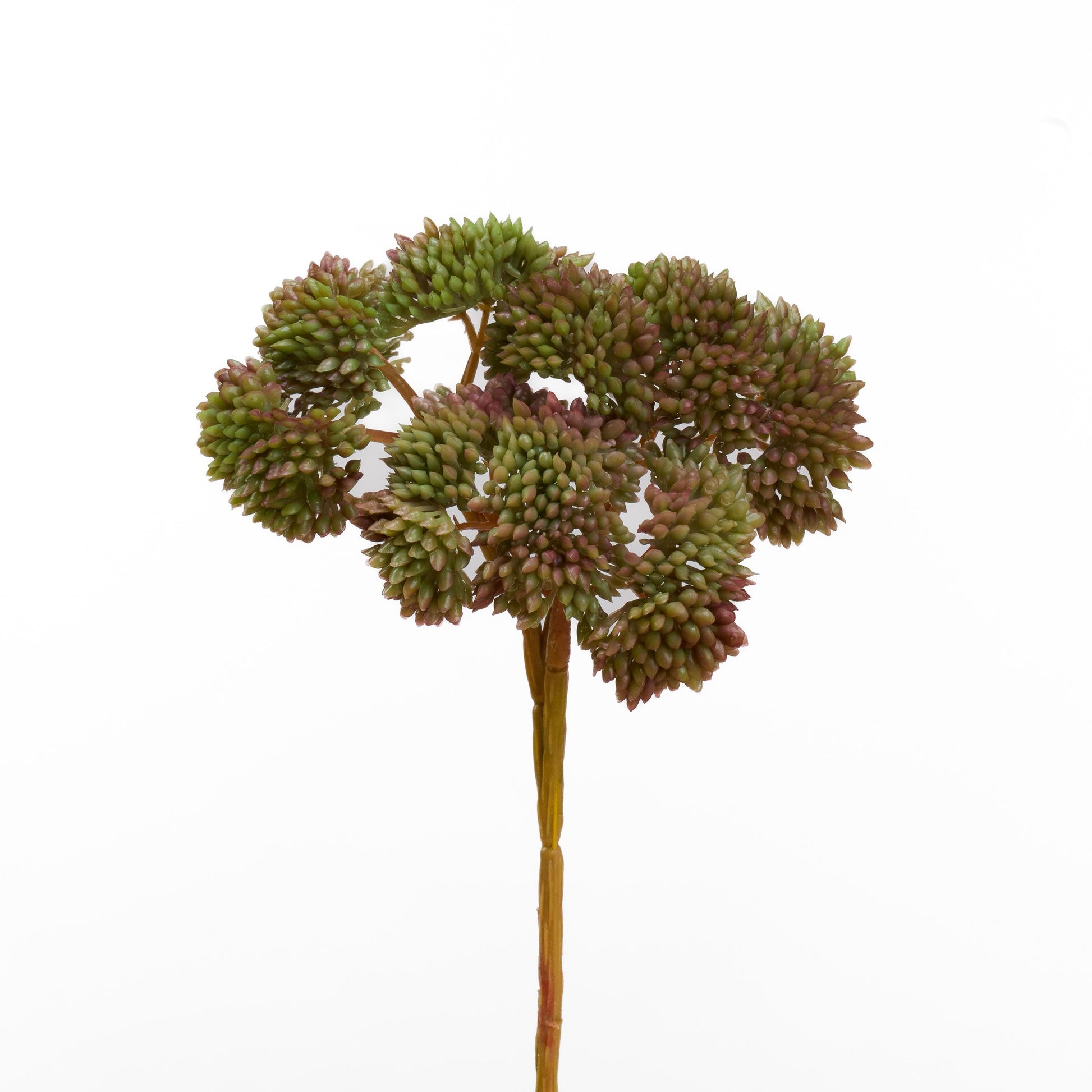 Real touch sedum cluster stem in mauve and sage green - single stem