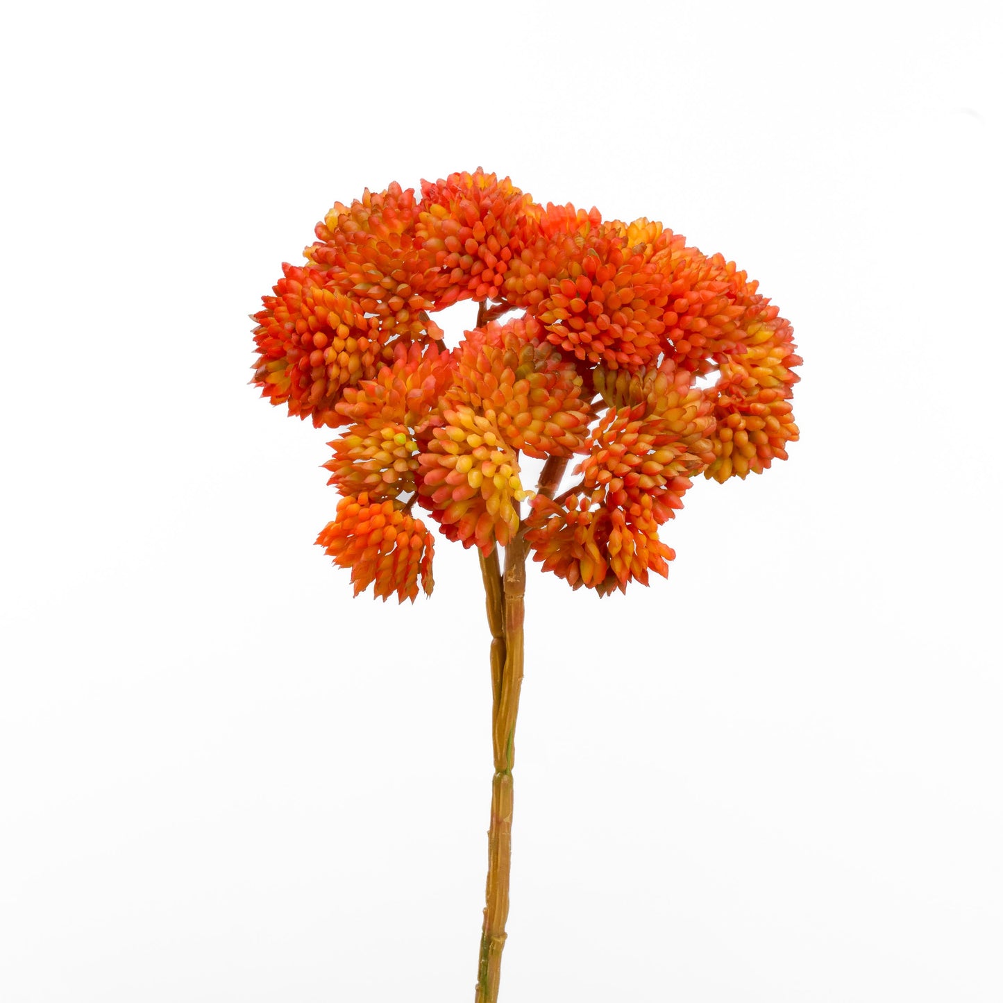 Real touch sedum cluster stem in orange - single stem