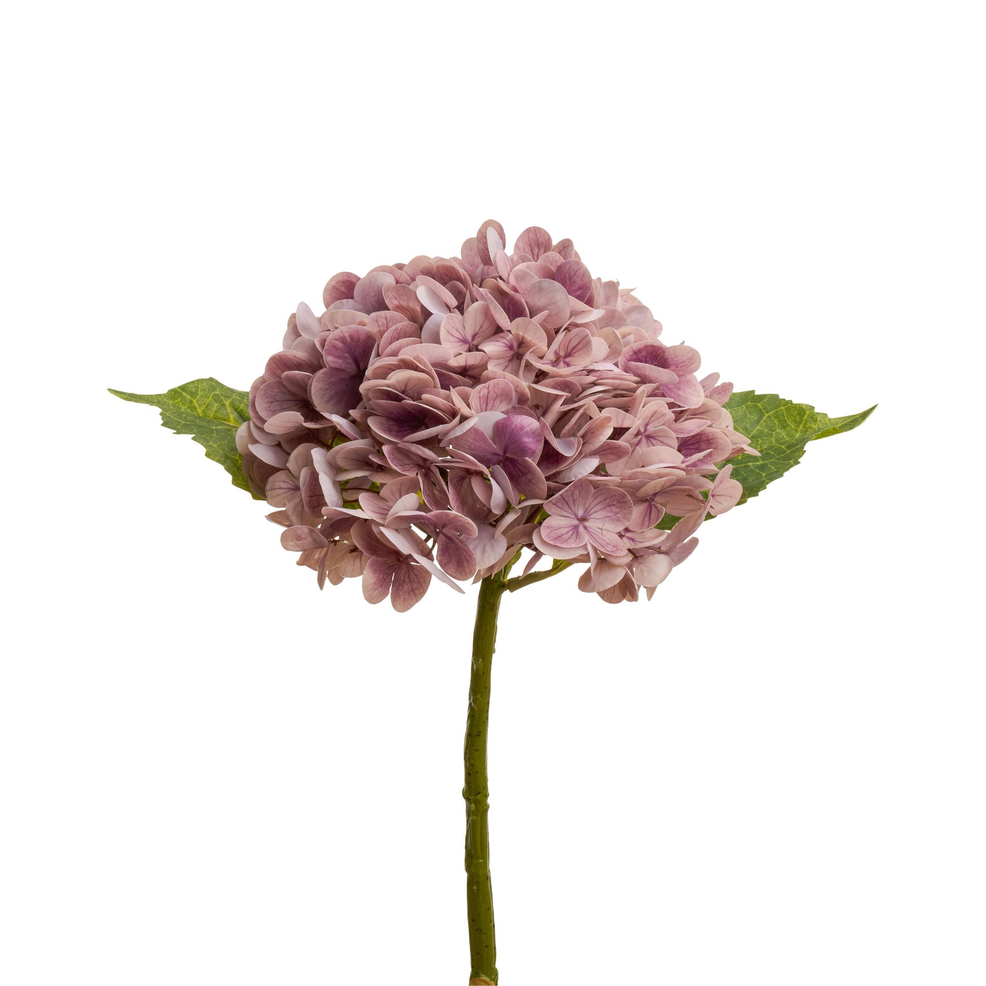 Light mauve purple hydrangea in arrangement