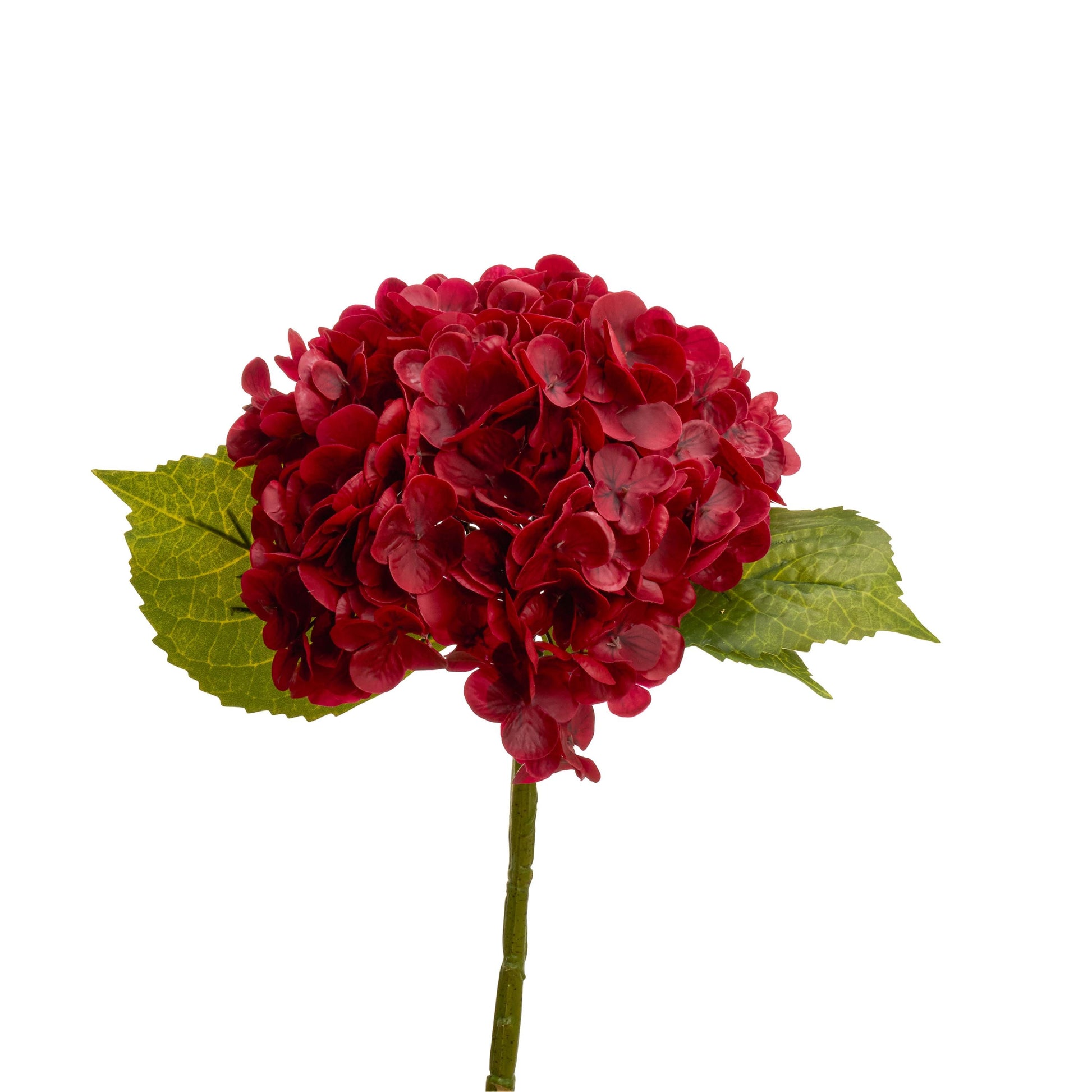 Deep red hydrangea in arrangement