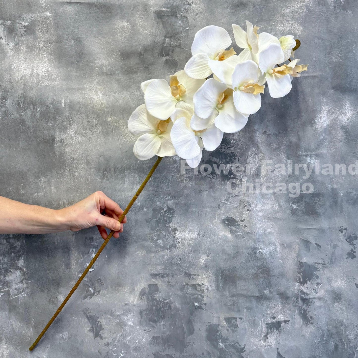 37 inch faux orchid stem with ten huge white blooms held in hand
