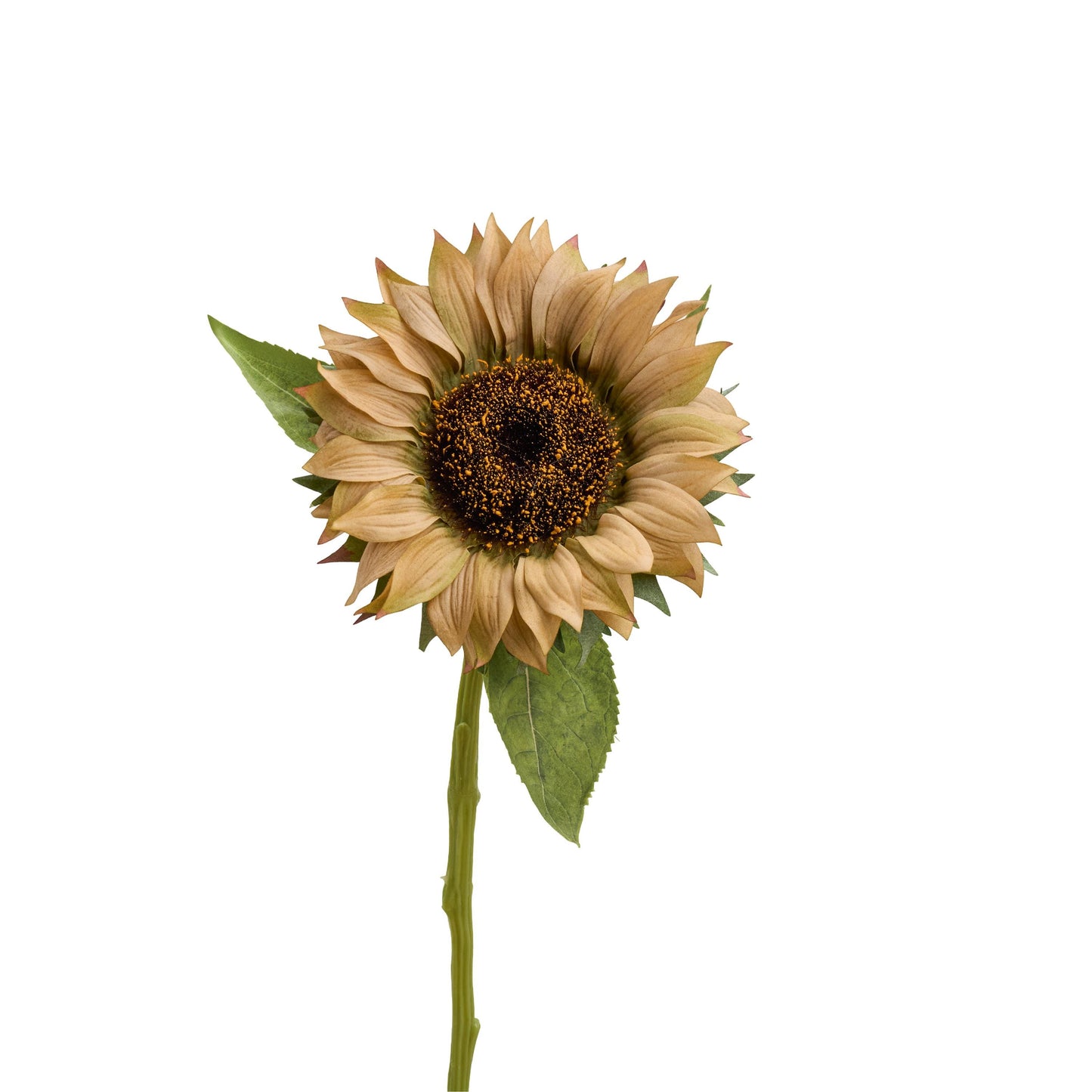 Real touch sunflower stem in mocha beige - single stem
