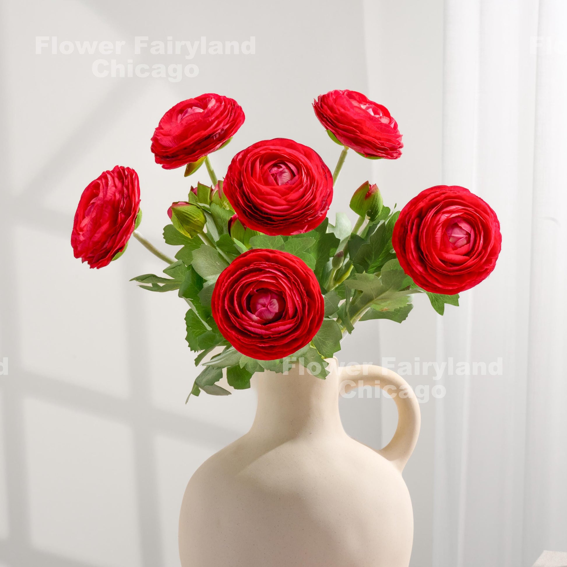 Red ranunculus bloom detail