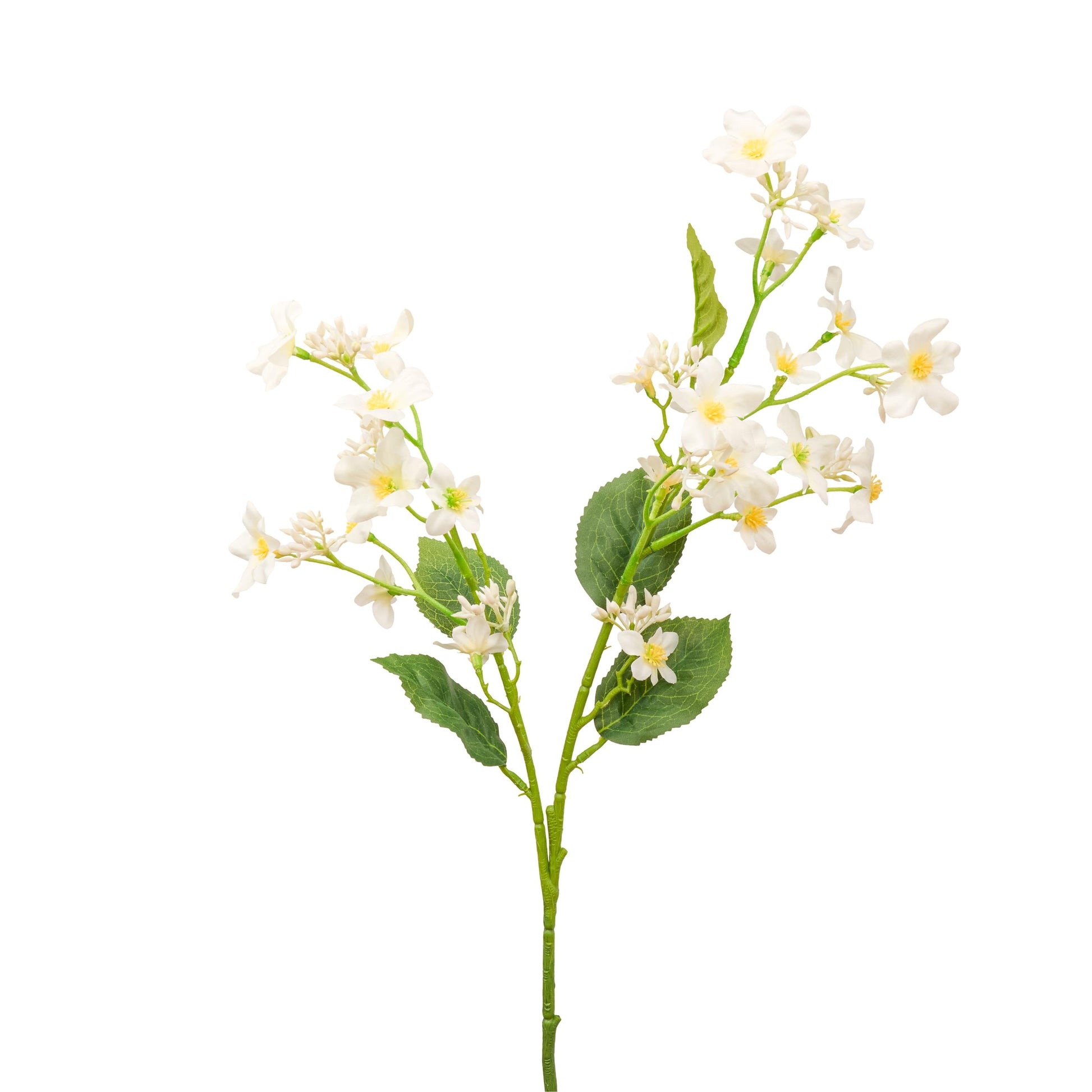 Faux Vernicia fordii flower stem in white - single stem