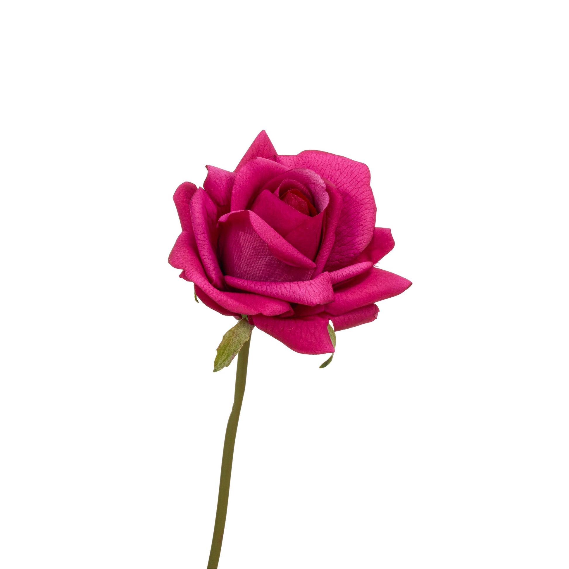 Single deep magenta rose stem