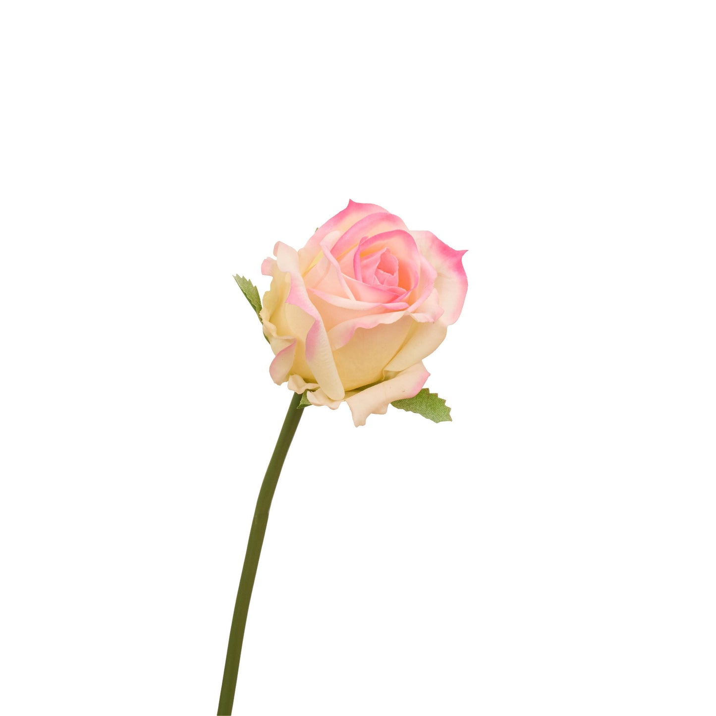 Single rose stem from yellow pink bouquet