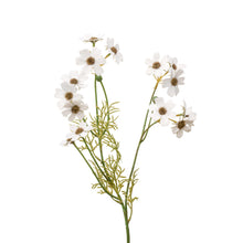 Load image into Gallery viewer, Faux Multi-Headed Cosmos Stem – White
