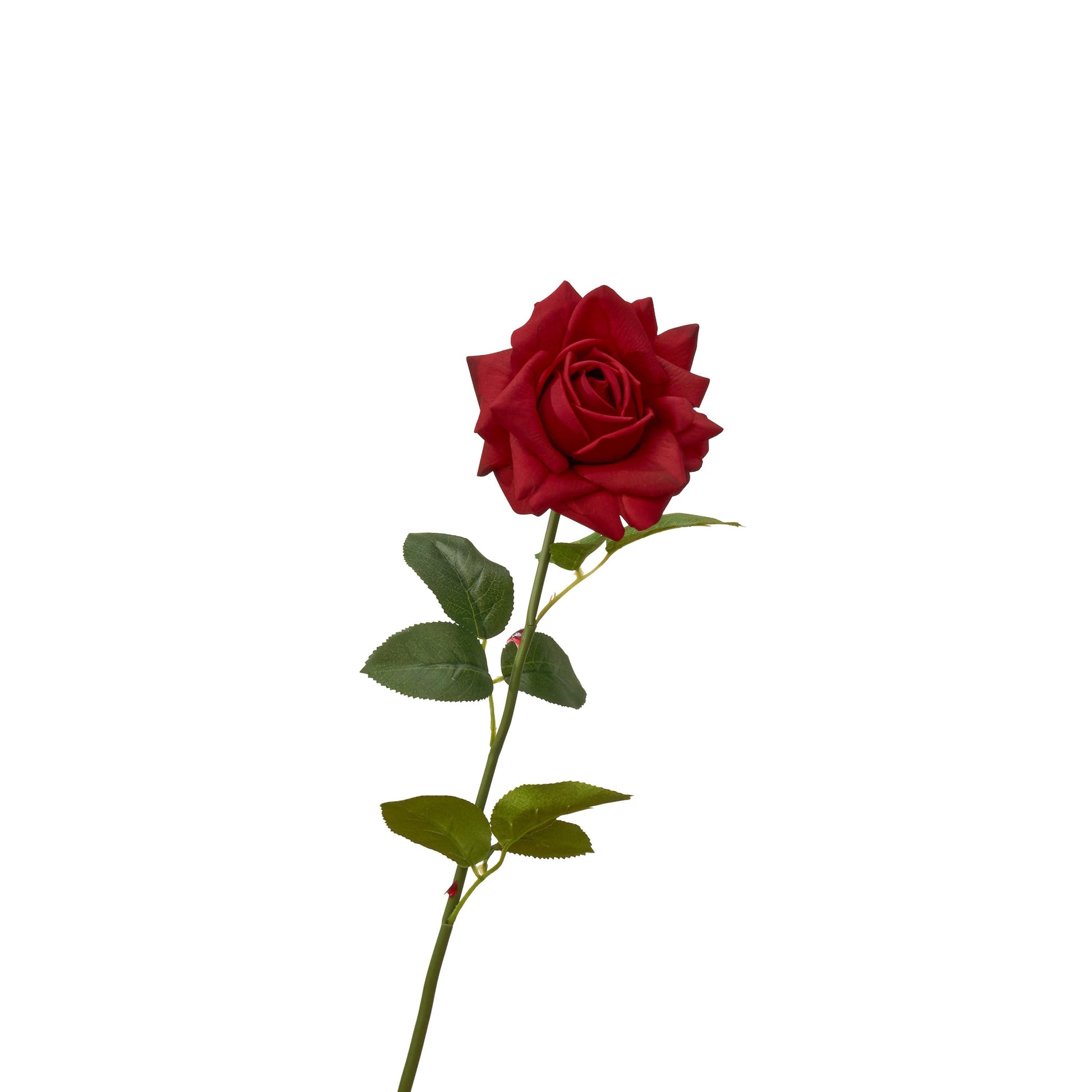 30 inch real touch full bloom rose single stem in red