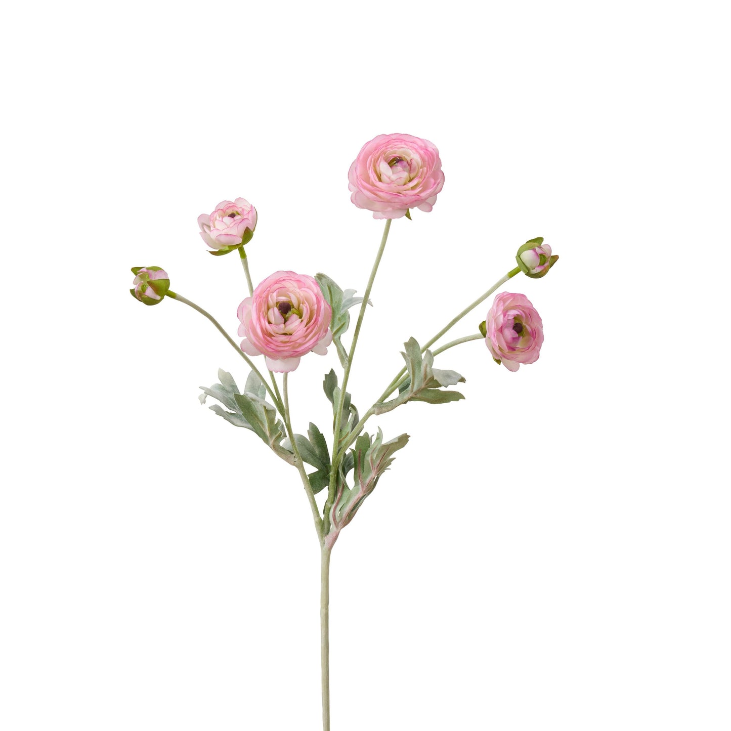 Single pink faux ranunculus stem with 6 heads