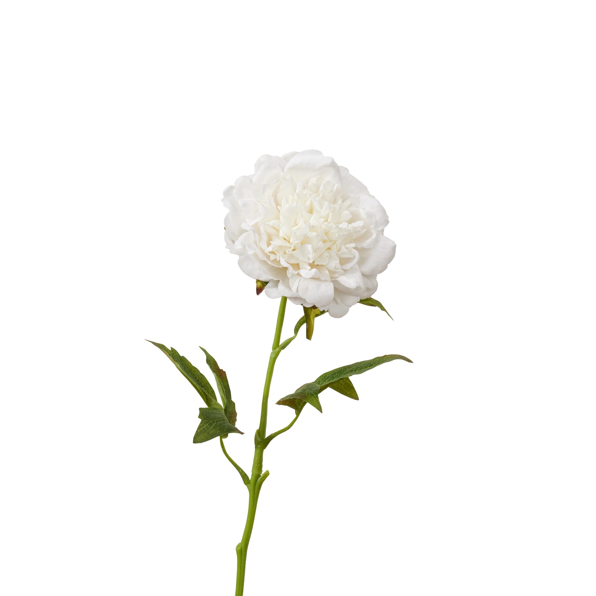 Real touch peony single stem in white