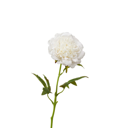Real touch peony single stem in white