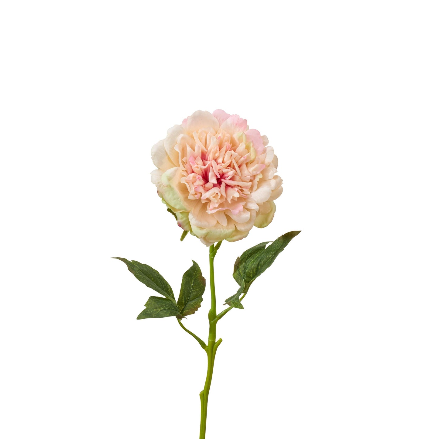Real touch peony single stem in pinky peach