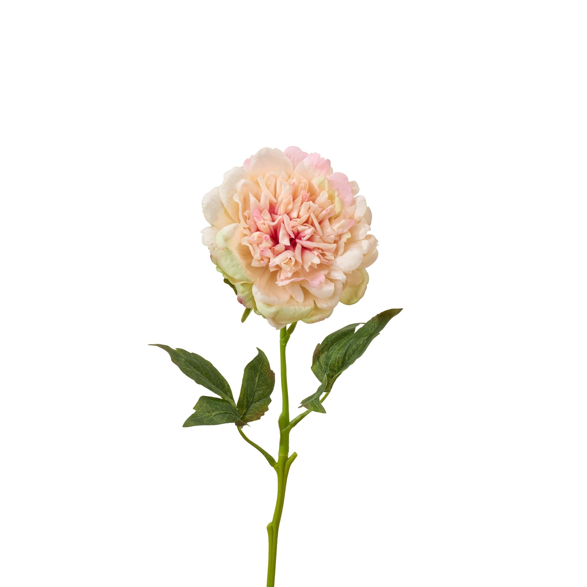 Real touch peony single stem in pinky peach