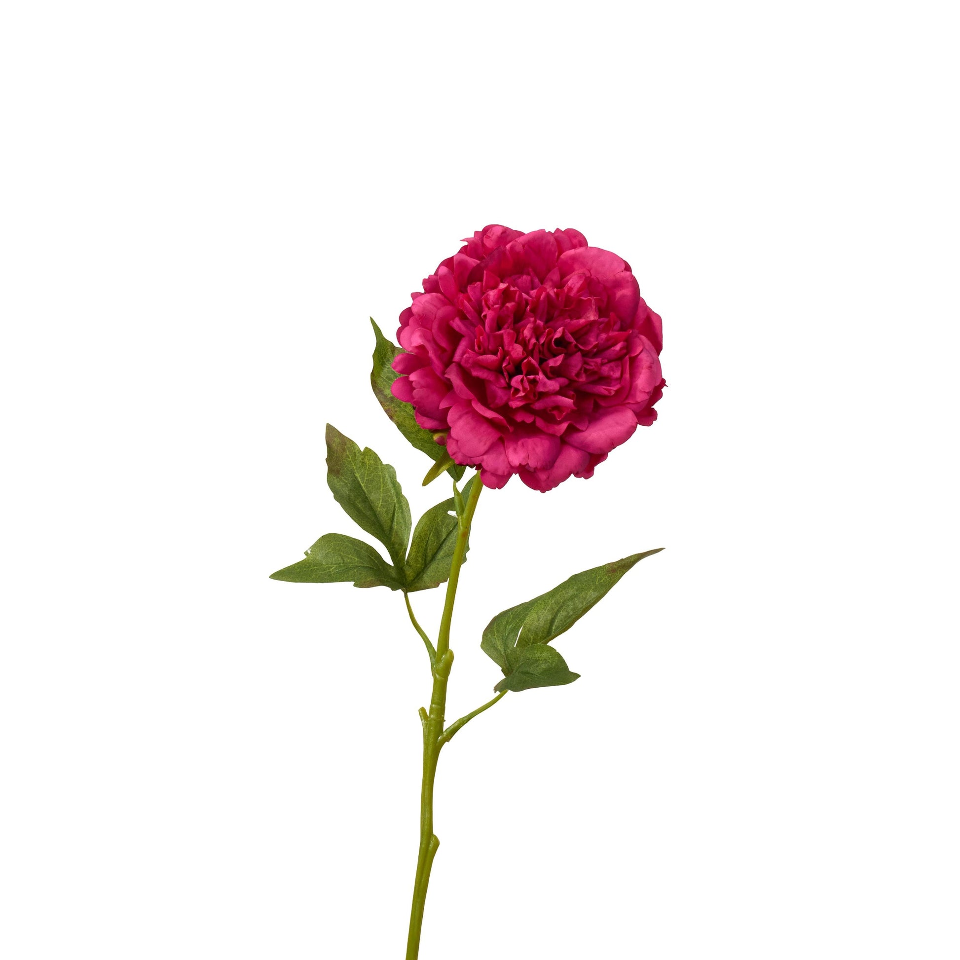 Real touch peony single stem in raspberry